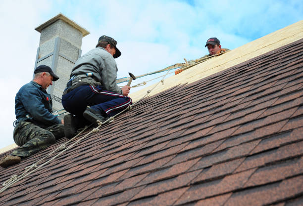 Best Roof Gutter Cleaning  in San Tan Valley, AZ